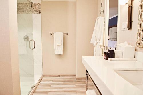 达拉斯阿道弗斯酒店的一间带水槽和淋浴的浴室