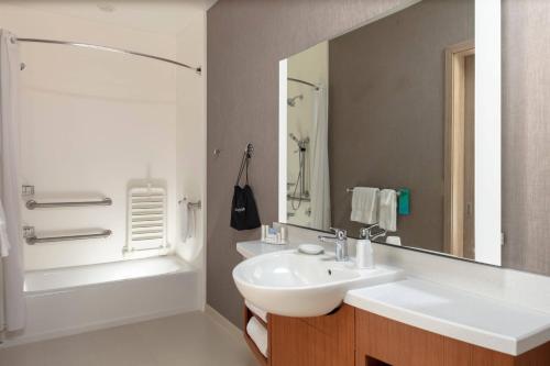 大瀑布城SpringHill Suites by Marriott Great Falls的一间带水槽、浴缸和镜子的浴室
