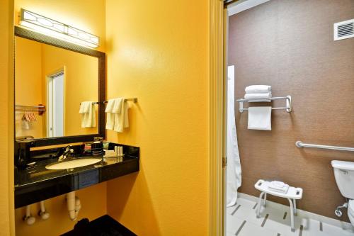 达拉斯达拉斯医疗/市场中心费尔菲尔德客栈的一间带水槽和镜子的浴室