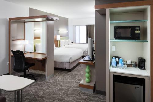 奥兰多万豪奥兰多海洋世界春山套房酒店的配有一张床和一张书桌的酒店客房