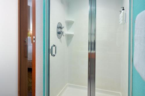 奥兰多万豪奥兰多海洋世界春山套房酒店的浴室旁设有玻璃门淋浴