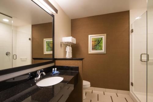 Ellison韦恩堡西南费尔菲尔德客栈套房酒店的一间带水槽、镜子和卫生间的浴室