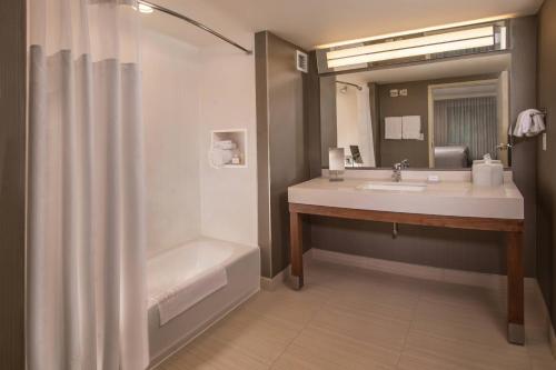 赫尔希赫尔希巧克力大道万怡酒店的带浴缸、水槽和淋浴的浴室