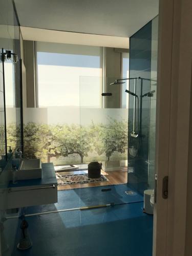 雷森迪Vald'arêgos - Douro的一间带玻璃淋浴和水槽的浴室
