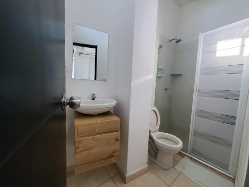 圣玛尔塔SUITE GRANDE的一间带水槽和卫生间的浴室