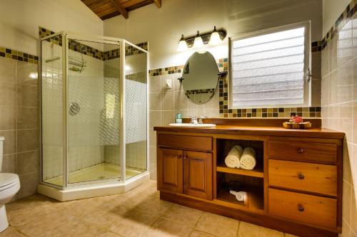 Big FallsTanager RainForest Lodge的带淋浴、盥洗盆和卫生间的浴室