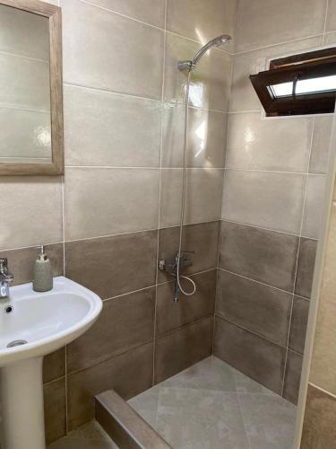 西格纳吉Guest House Sarajishvilze的带淋浴和盥洗盆的浴室