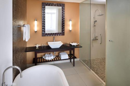 阿克拉Accra Marriott Hotel的一间带水槽和淋浴的浴室