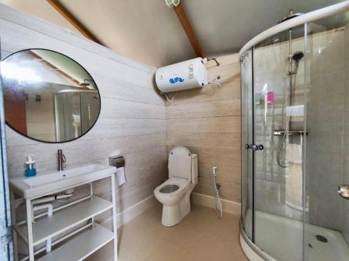 新山Canopy Villa Sireh Park的一间带卫生间、水槽和镜子的浴室