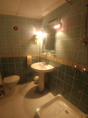 塞雷斯特里格贝勒酒店的一间带水槽、卫生间和镜子的浴室