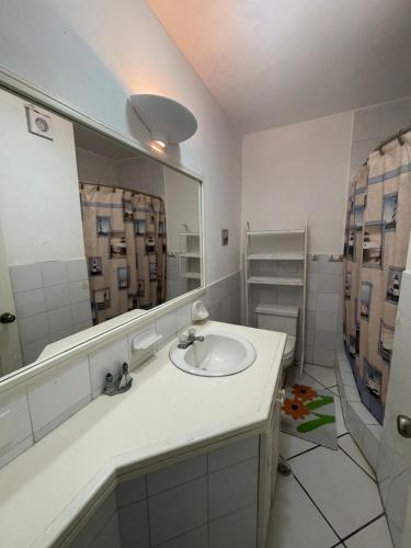赛姆Casa Blanca: Frente al mar的一间带水槽和大镜子的浴室