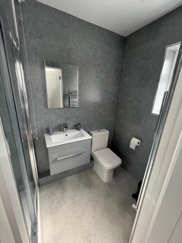 FeltonThe Annexe的一间带卫生间、水槽和镜子的浴室