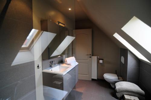 托尔豪特Holiday home De Levensgenieter的一间带水槽和卫生间的浴室