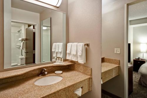 路易斯威尔路易斯维尔机场春季山丘套房酒店的一间带水槽和镜子的浴室