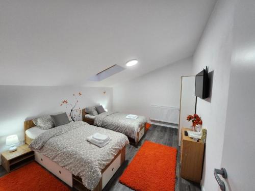 DumbrăviţaArmina's Residence Villa的一间卧室配有两张床和一台平面电视
