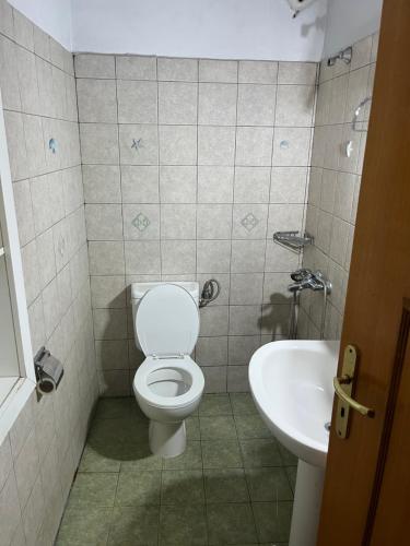 卡尔派尼西翁Chalet Karpenisi的一间带卫生间和水槽的浴室