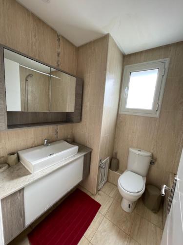 艾尔亚奈Bel appartement à 9 min de l’aéroport的一间带水槽、卫生间和镜子的浴室