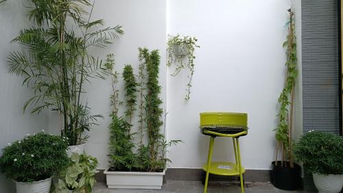 罗夷Khanh Thy Homestay Lagi的墙上有盆栽植物和黄色凳子