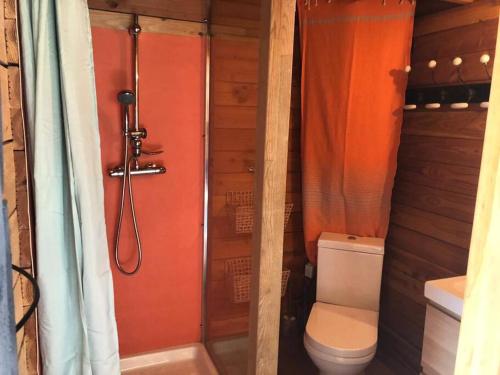 普罗旺斯艾克斯Chalet bois cosy avec piscine Aix nature的一间带卫生间和淋浴的小浴室