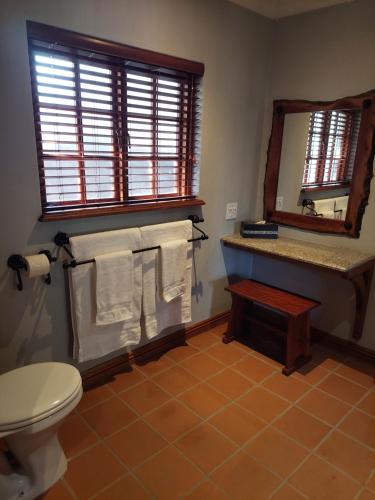 博克斯堡Allo Allo的一间带卫生间、镜子和毛巾的浴室