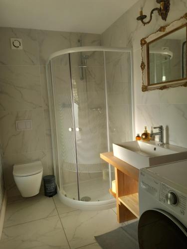 Ivančna GoricaEdenski vrt的带淋浴、卫生间和盥洗盆的浴室