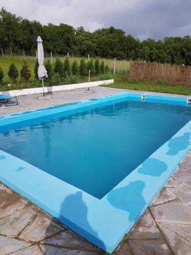 季米特洛夫格勒Etno Deša Apartmani的一个带遮阳伞的大型蓝色游泳池