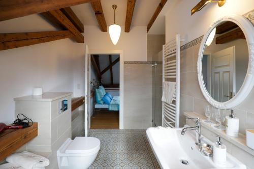 大卡尔巴赫Boutique-Hotel im Sternenhof的浴室配有盥洗池、卫生间和镜子。