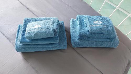 伊斯基亚La Casetta nel Bosco的床上有两条蓝色的毛巾