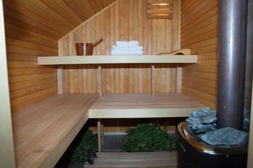 EcoSilini的铺有木地板的桑拿浴室,内设长凳