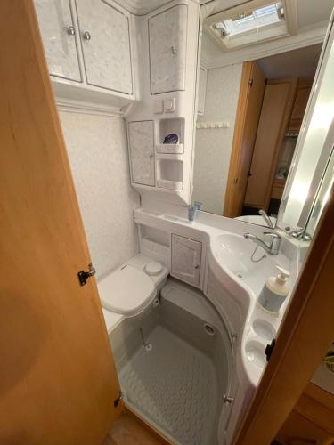 韦斯特曼纳埃亚尔Cozy Caravan的一间带水槽和卫生间的小浴室