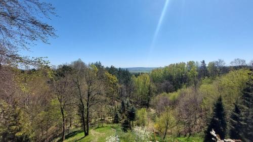 PołchowoNa Wzgórzu的享有树木繁茂的地区的景色