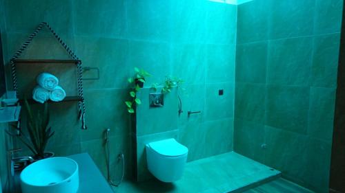 库鲁内格勒LEO-BREEZE Apartments的绿色浴室设有卫生间和淋浴。