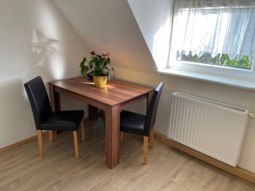 开姆尼茨Pension Evi的一张木桌,上面有两把椅子和一株植物