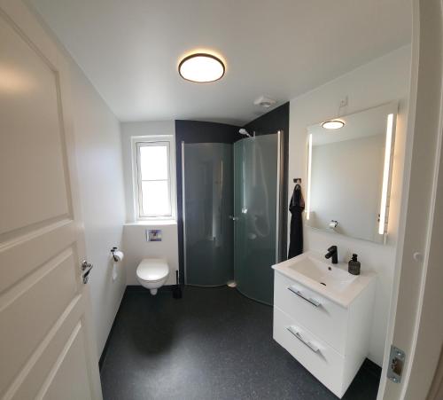斯坎讷堡Sommerhus ved Mossø med søkig的带淋浴、盥洗盆和卫生间的浴室