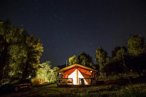 蒙地卡罗Tienda de Safari Almagro的夜晚在田野里点燃的帐篷