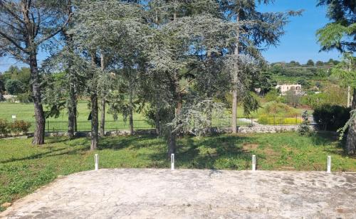 塞尔瓦迪法萨诺Oltre la Vite的享有树木和草地的公园景色