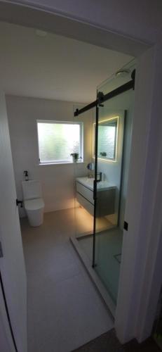 汉密尔顿Inner City 2 Bedroom Unit的带淋浴、卫生间和盥洗盆的浴室