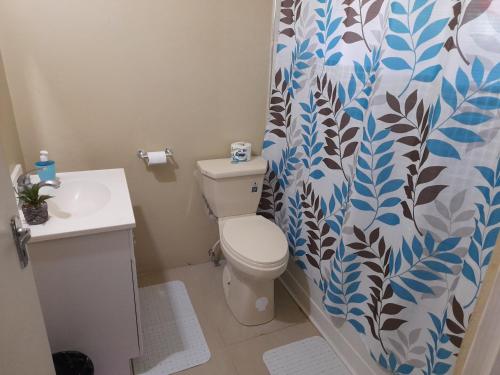 布莱克河Loodik Vacation Home Brompton Manor的一间带卫生间和淋浴帘的浴室