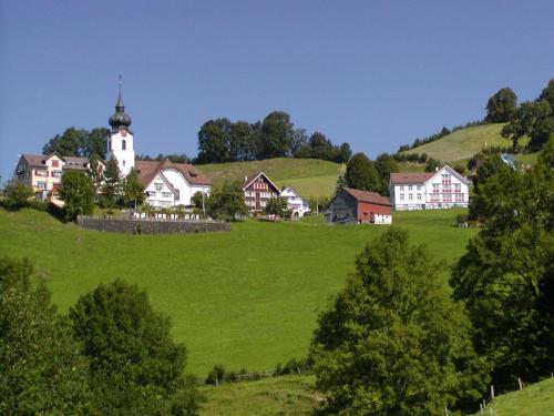 阿彭策尔巴荣斯赫拉特宾馆的一座带教堂的绿色山丘上的村庄