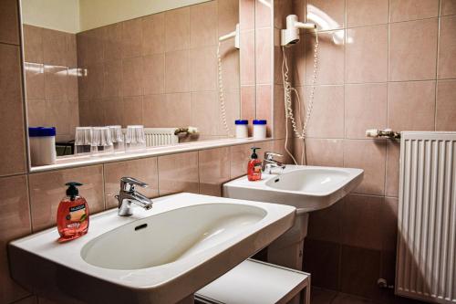 克夫拉赫Hotel Reinisch的一间带水槽和镜子的浴室