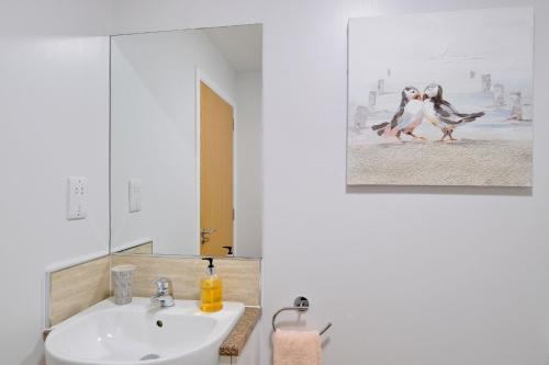 阿伯丁Caledonia Newhills Apartment的一间带水槽和镜子的浴室以及2只企鹅