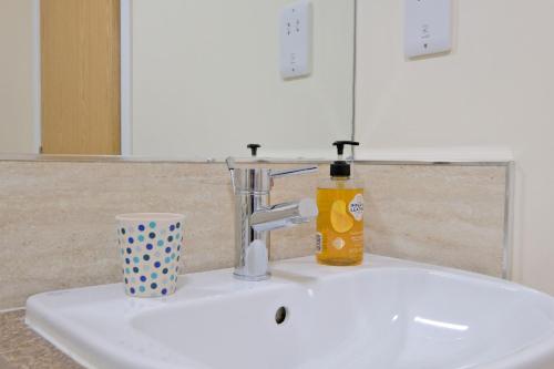 阿伯丁Caledonia Netherhills Apartment的水槽,上面有肥皂和杯子