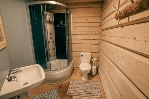 Kotkapesa的浴室配有卫生间、盥洗盆和浴缸。