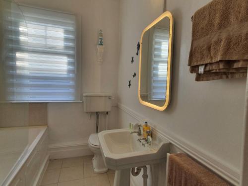 阿德莫尔Hillside的一间带水槽、镜子和卫生间的浴室