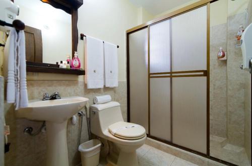 圣克里斯托瓦尔Hostal San Francisco的浴室配有卫生间、盥洗盆和淋浴。