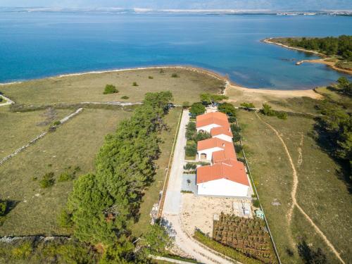 维尔Ana Maria的水面上岛上房屋的空中景观