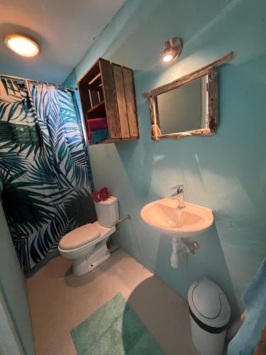 Santa CatharinaTropical Breeze "Dushi Bida"的一间带水槽、卫生间和镜子的浴室