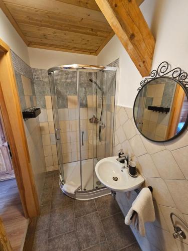 布莱德Koča na Taležu的带淋浴和盥洗盆的浴室