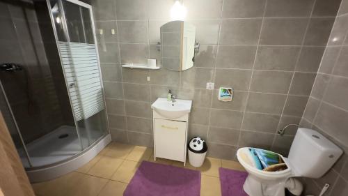 乌涅尤夫Agroturystyka的浴室配有卫生间、盥洗盆和淋浴。