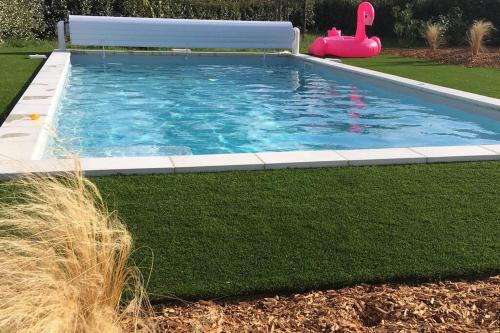 PrigonrieuxLa remise d'Angèle的一个带玩具火烈鸟的草地游泳池